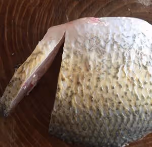 孔雀開屏富貴魚