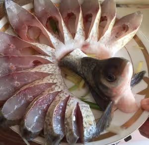 孔雀開屏富貴魚