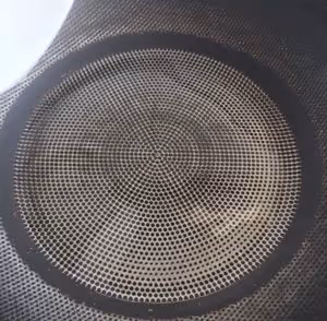 孔雀開屏富貴魚