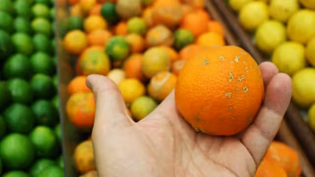 水果「壞」了一小塊　其他地方還能吃嗎？