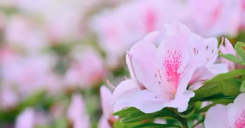 大兒癱瘓，父母撇清關係10年不來往，發達後母親上門：幫你弟一把