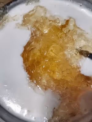 論椰肉是如何變成椰奶凍的