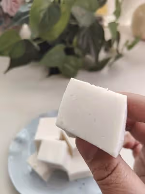 論椰肉是如何變成椰奶凍的