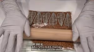 韓國Nebokgom  lotus焦糖餅乾芝士慕斯蛋糕