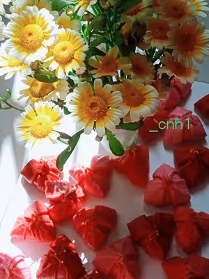 火龍果三角梅包（下） *花兒饅頭194