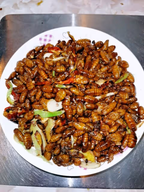 干煸小蠶蛹