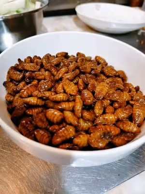 干煸小蠶蛹