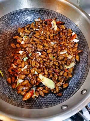 干煸小蠶蛹