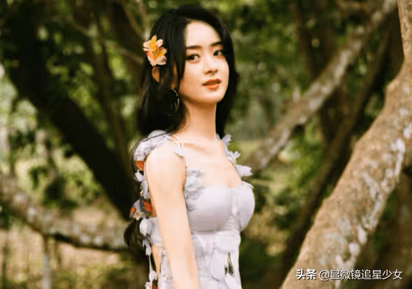 趙麗穎粉絲影響?楊紫新劇?張藝興得到認可?黃旭熙掉資源?