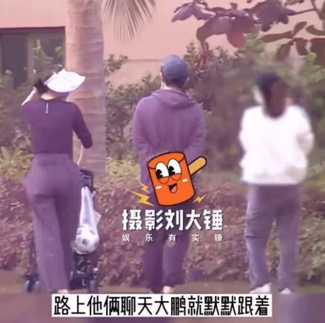 出軌還是婚變？大鵬被曝又有新家庭，寶寶已經一兩歲，長得很像他