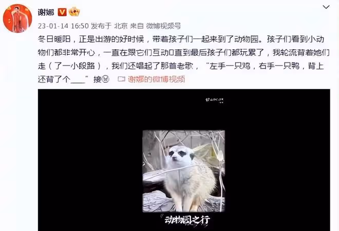謝娜帶三女寶大鬧動物園，卻有眼尖的網友驚嘆：臉這是怎麼了？