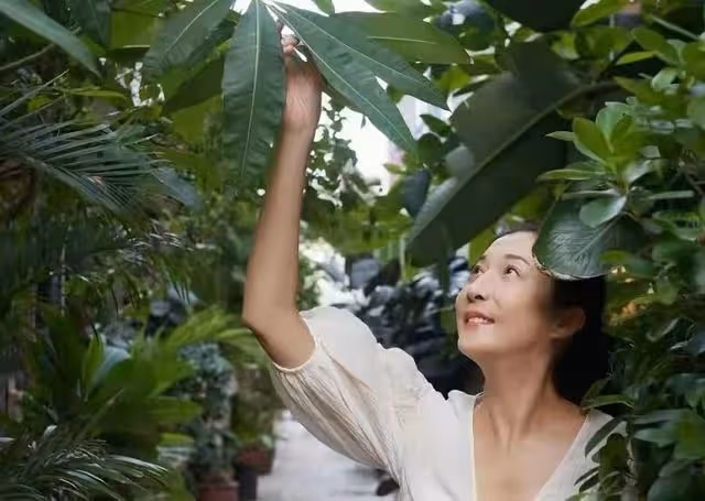 48歲吳綺莉獨自回內地過年，現身蘇州求偶遇，皺紋深邃打扮似素人