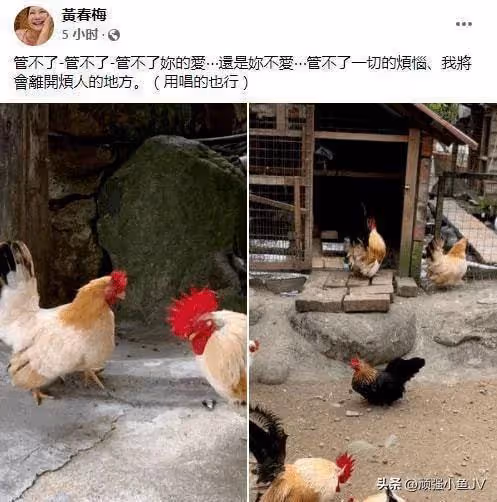 具俊曄和大S又增新瓜，兩人不是真愛，疑似僱傭關係