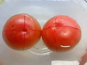 茄汁牛肉末豆腐羹【下飯神器】