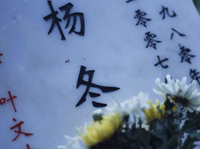 《三體》:葉文潔的結局,果然沒讓人失望