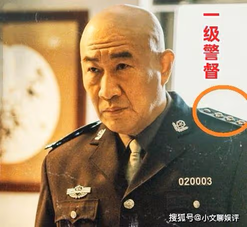 《狂飆》安長林是京海市公安局常務副局長,警銜為何只是一級警督?
