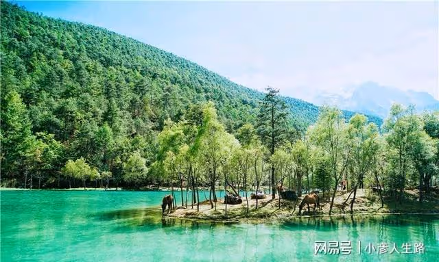 雲南雪山腳下的人間仙境，外觀看著像月亮，唯美的像一個夢