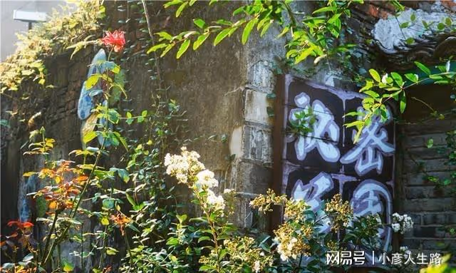 藏在千年古街里的秘密,臨海女子為了愛情,把民國老宅變成了花園