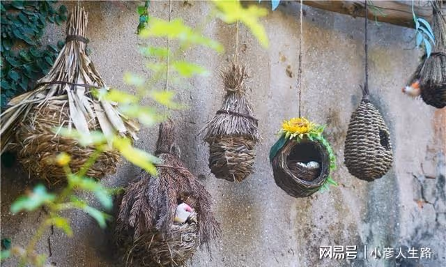 藏在千年古街里的秘密,臨海女子為了愛情,把民國老宅變成了花園