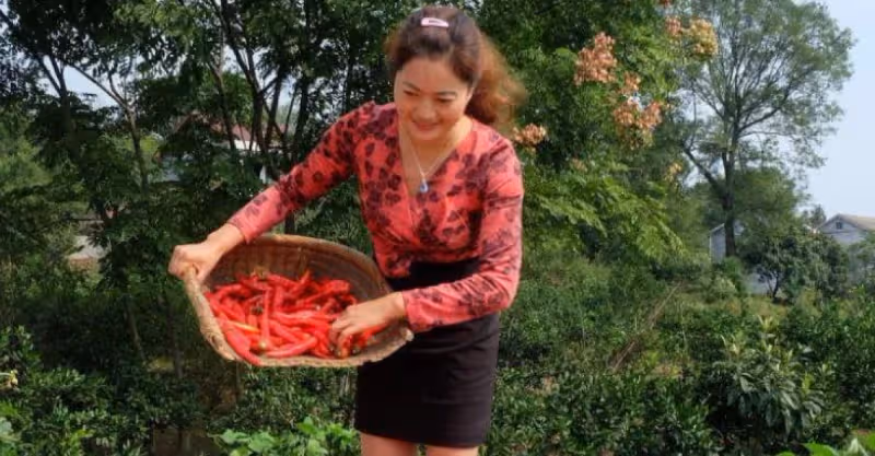 村婦找前兒媳借錢，兒媳要她拿家裡花瓶做抵押，回家拿花瓶傻眼了