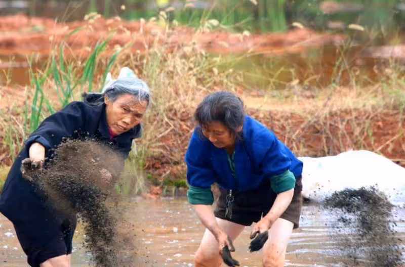 村婦找前兒媳借錢，兒媳要她拿家裡花瓶做抵押，回家拿花瓶傻眼了