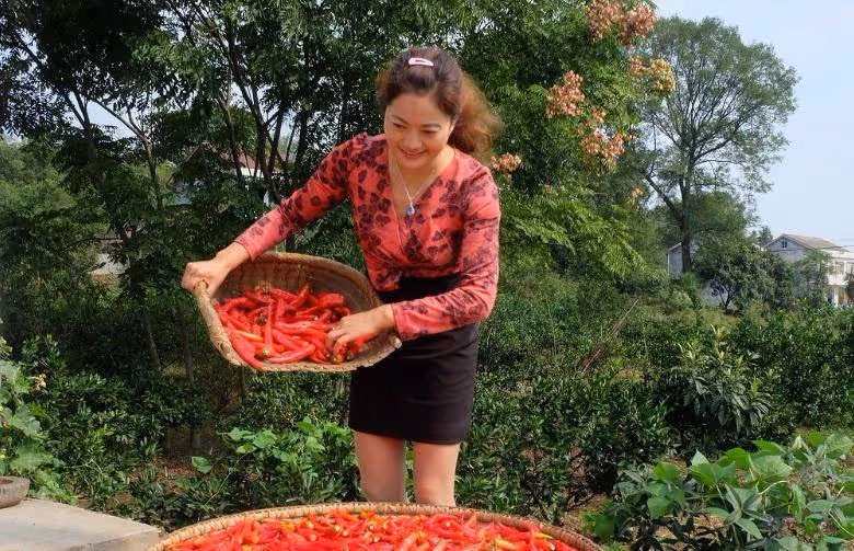 村婦找前兒媳借錢，兒媳要她拿家裡花瓶做抵押，回家拿花瓶傻眼了