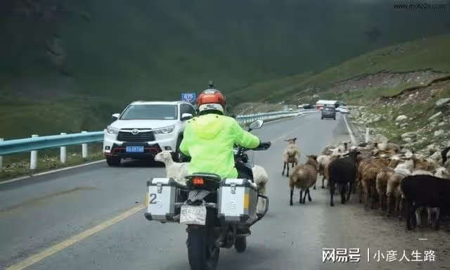 山東小伙摩旅進藏!在4000米海拔露營!沒想到一晚上摩托凍成冰雕
