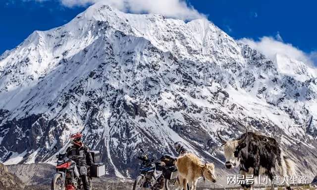 山東小伙摩旅進藏!在4000米海拔露營!沒想到一晚上摩托凍成冰雕