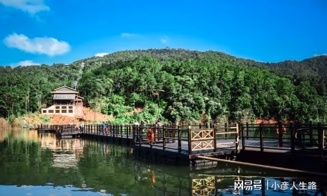 雲南這座小城,風景好,茶葉出名,與越南和寮國接壤,還緊挨緬甸