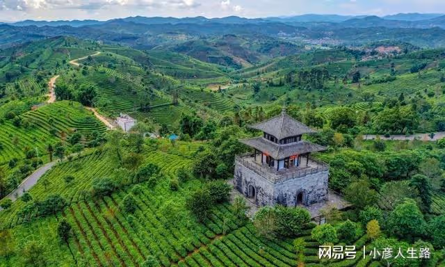 雲南這座小城,風景好,茶葉出名,與越南和寮國接壤,還緊挨緬甸