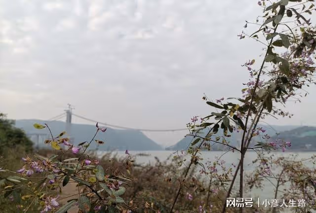 實地探訪重慶長江小島,正在修建不許進入,沿江小路同樣漂亮