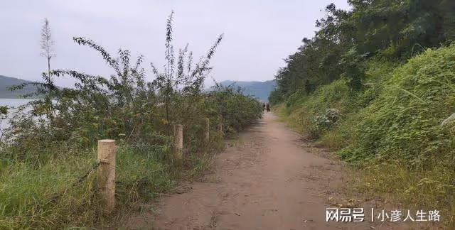 實地探訪重慶長江小島,正在修建不許進入,沿江小路同樣漂亮