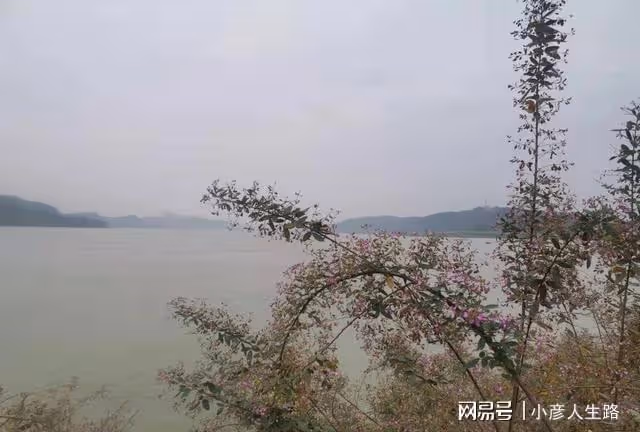 實地探訪重慶長江小島,正在修建不許進入,沿江小路同樣漂亮