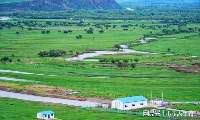 亞洲第一濕地根河,陶醉在這片綠色里