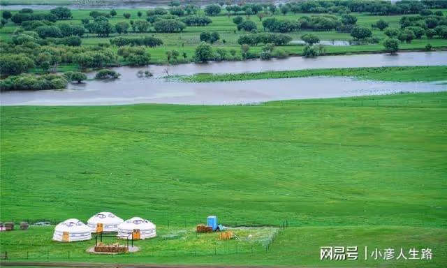 亞洲第一濕地根河,陶醉在這片綠色里