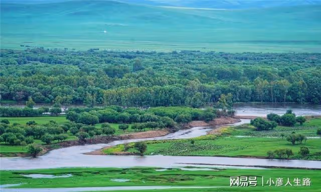亞洲第一濕地根河,陶醉在這片綠色里