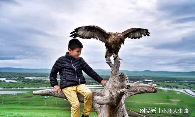 亞洲第一濕地根河,陶醉在這片綠色里