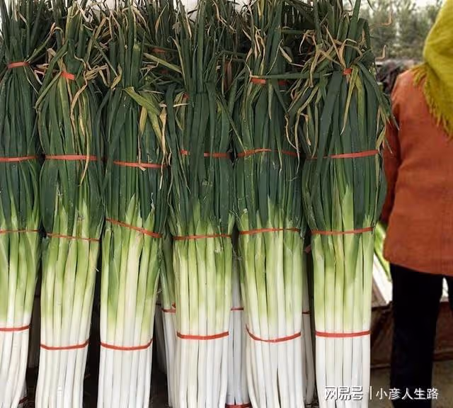 在毛公山一處淘金小鎮,每月投放20萬黃金隨便撿,撿到就是你的