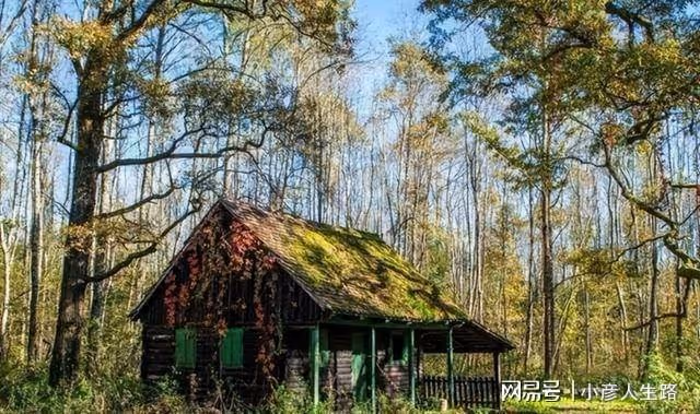俄羅斯公路邊上的小木屋不能隨便亂進?當心進去後就出不來