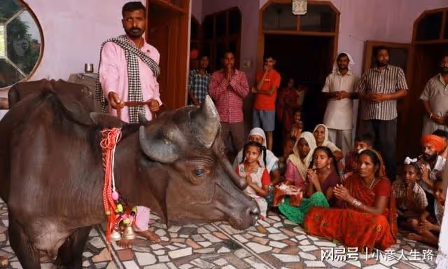 印度人不吃豬、牛肉,卻唯獨愛吃這種肉,網友看完:看都看不下去