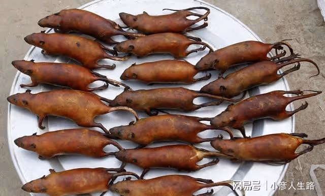印度人不吃豬、牛肉,卻唯獨愛吃這種肉,網友看完:看都看不下去