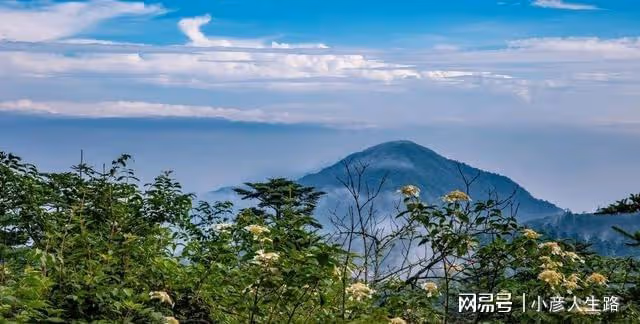 四川一5A景區，門票售250元卻依舊虧損，現如今僅靠賣茶葉來補貼