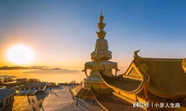 四川一5A景區，門票售250元卻依舊虧損，現如今僅靠賣茶葉來補貼
