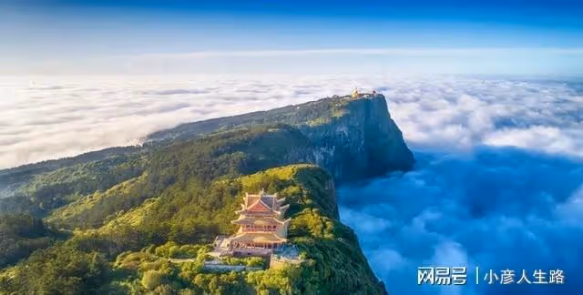 四川一5A景區，門票售250元卻依舊虧損，現如今僅靠賣茶葉來補貼