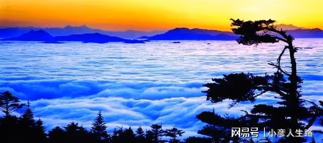 四川一5A景區，門票售250元卻依舊虧損，現如今僅靠賣茶葉來補貼