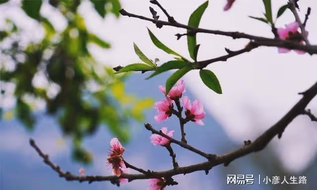 上帝遺忘在廣西的世外桃源,是亞洲第一瀑布的源頭卻很少有人知道