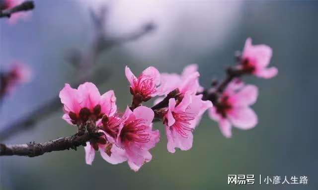 上帝遺忘在廣西的世外桃源,是亞洲第一瀑布的源頭卻很少有人知道