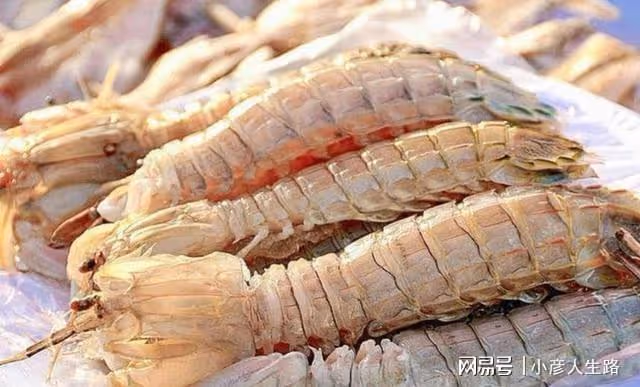 印度大蝦泛濫成災,低價出口我國卻遭到國人的拒絕,這是為何
