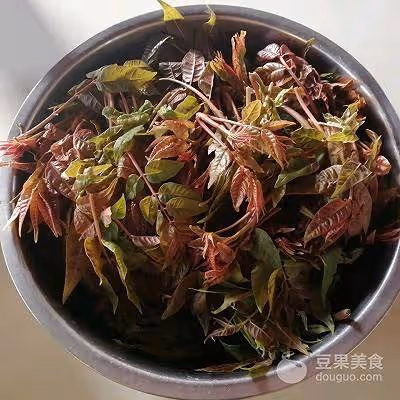 香椿炒雞蛋，春季不可錯過的美食