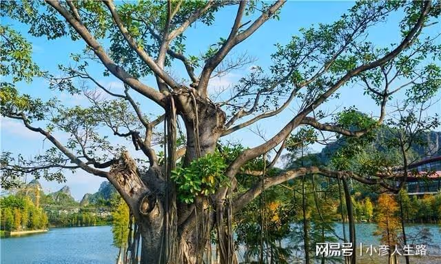 探秘廣西小眾秘境,美若仙境就連很多本地人也沒來過,就在南寧
